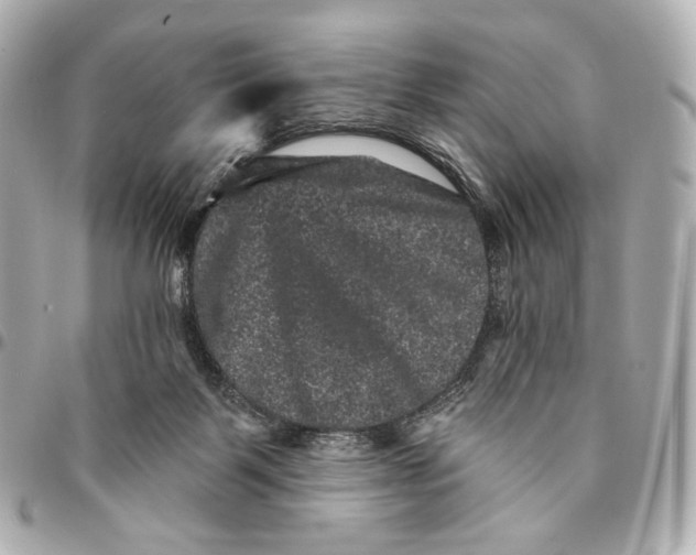 X0000094960123200712201209