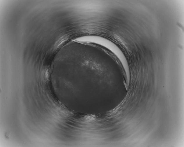 X0000094960124200712201209