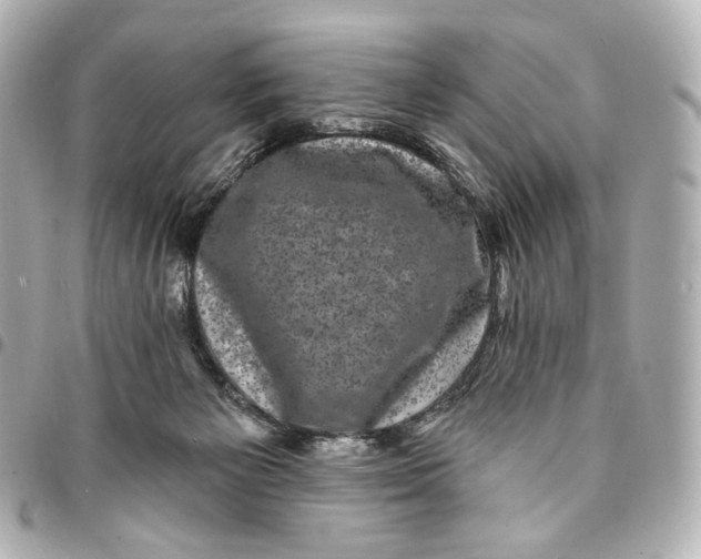 X0000094960125200712201209