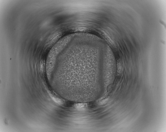 X0000094960126200712201209