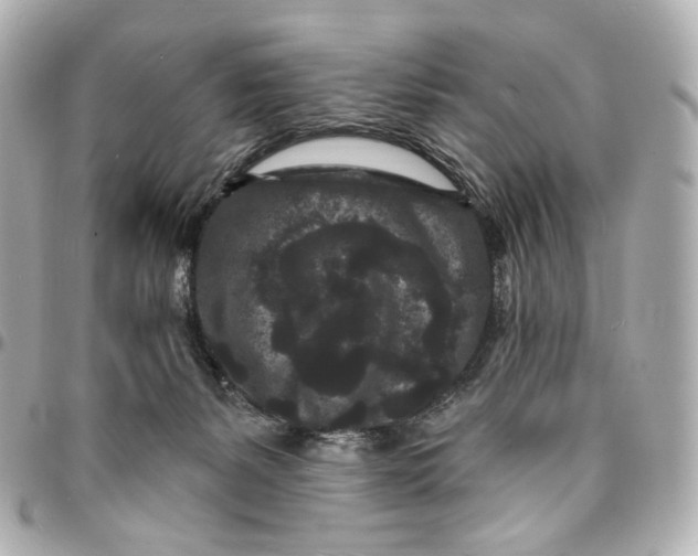 X0000094960127200712201209