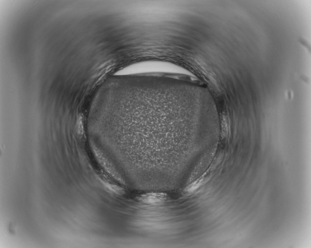 X0000094960128200712201209