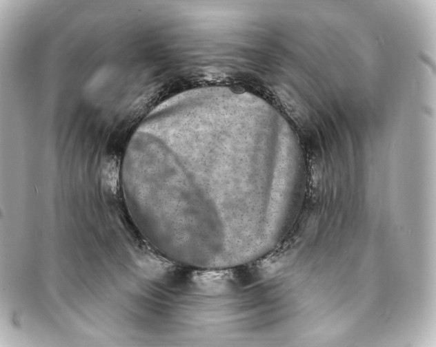 X0000094960129200712201209