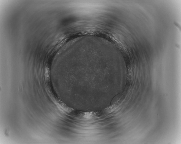 X0000094960130200712201209