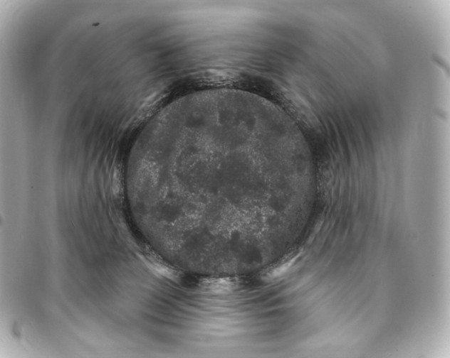 X0000094960131200712201209