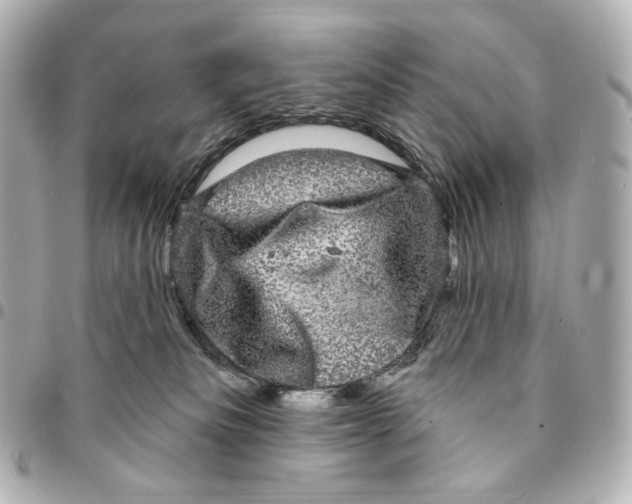 X0000094960133200712201209