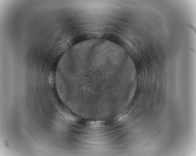 X0000094960134200712201209