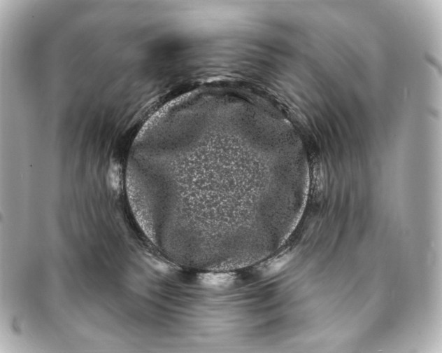 X0000094960135200712201209