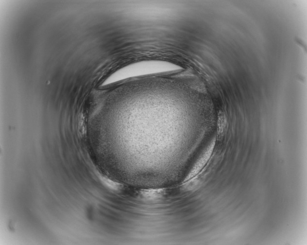 X0000094960136200712201209