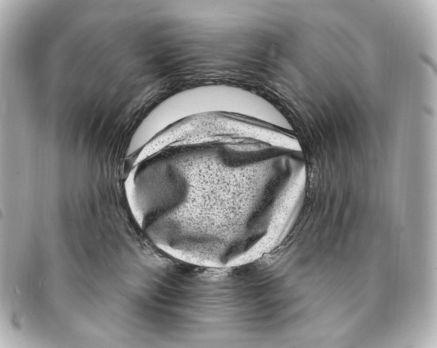 X0000094960138200712201209