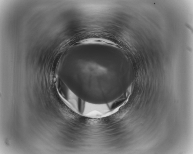 X0000094960139200712201209