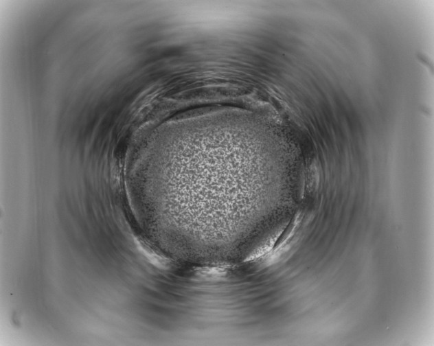 X0000094960140200712201209