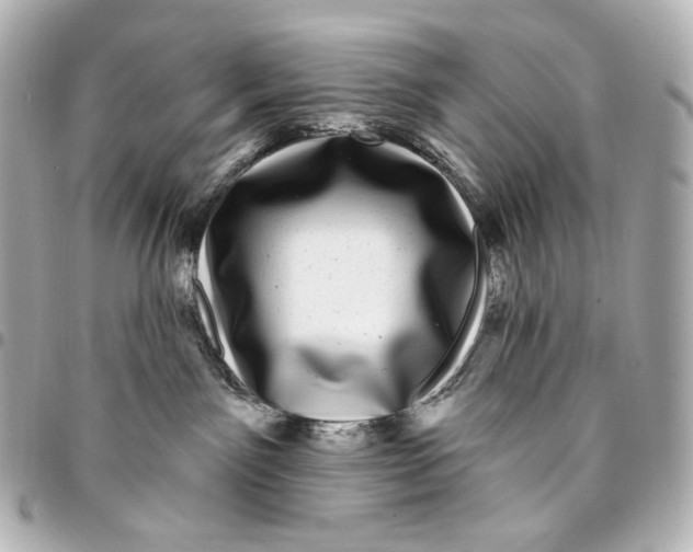 X0000094960141200712201209