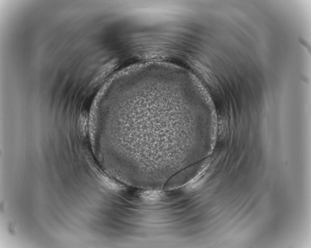 X0000094960142200712201209