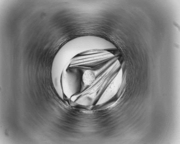 X0000094960144200712201208