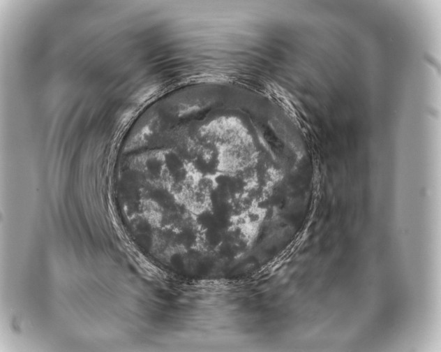 X0000094960145200712201208