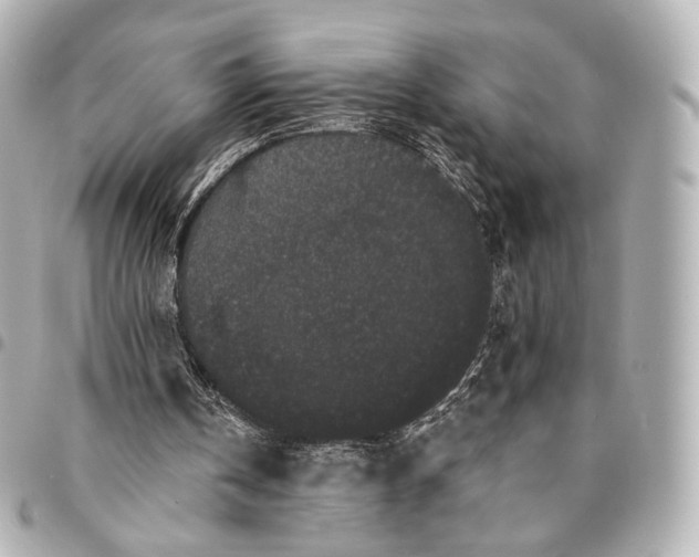 X0000094960146200712201208