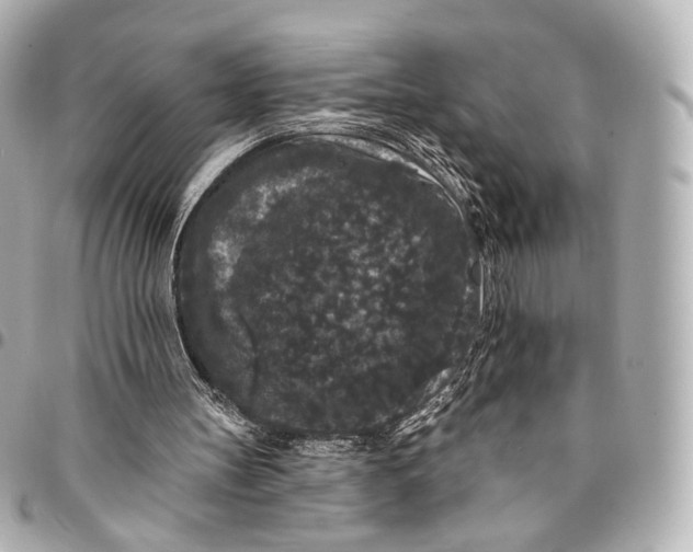 X0000094960147200712201208