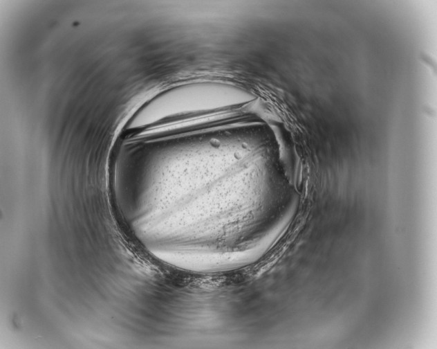 X0000094960148200712201208