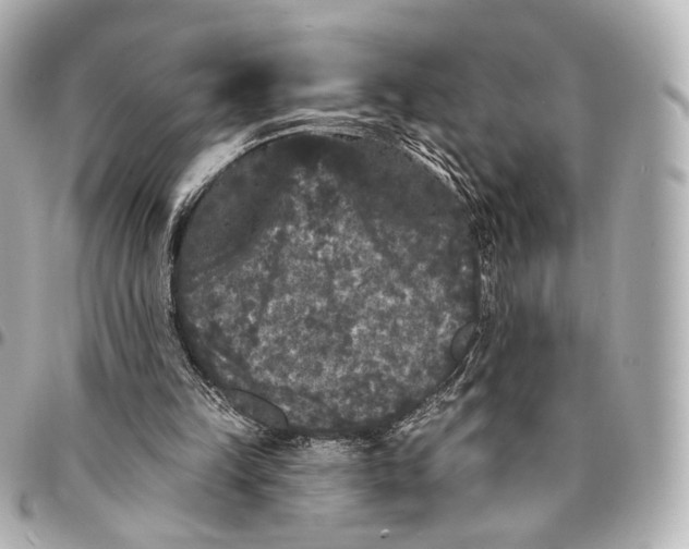 X0000094960149200712201208