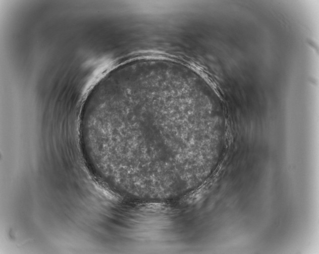 X0000094960151200712201208