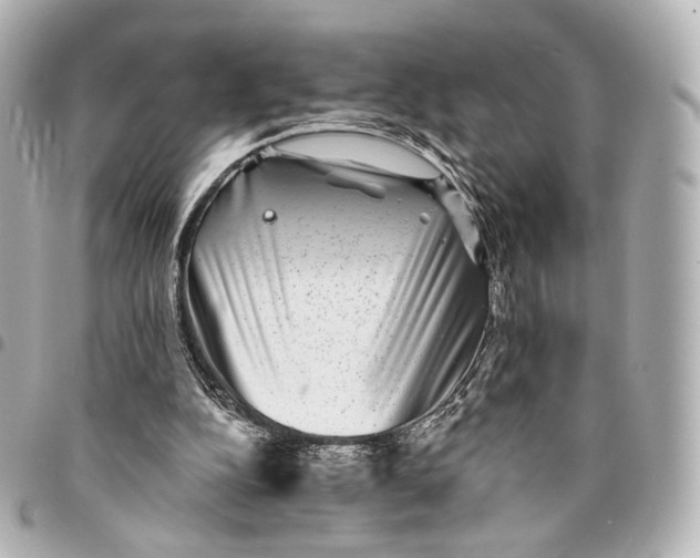 X0000094960152200712201208