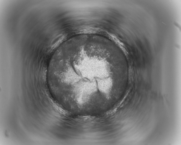 X0000094960153200712201208