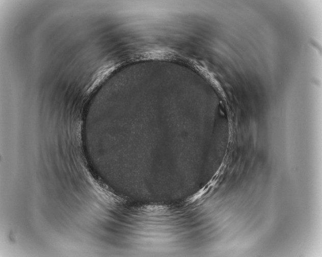 X0000094960154200712201208