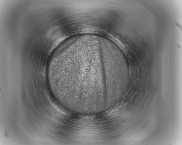 X0000094960155200712201208