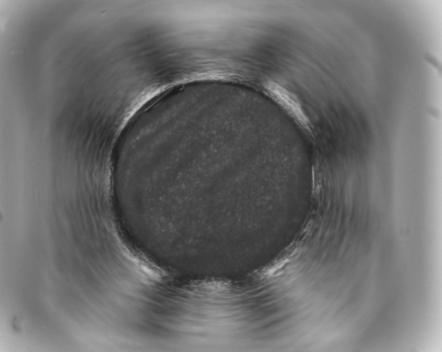 X0000094960156200712201208