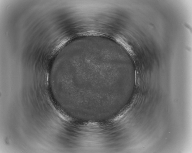 X0000094960157200712201208