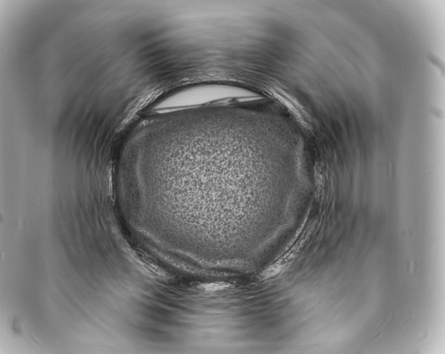 X0000094960158200712201208