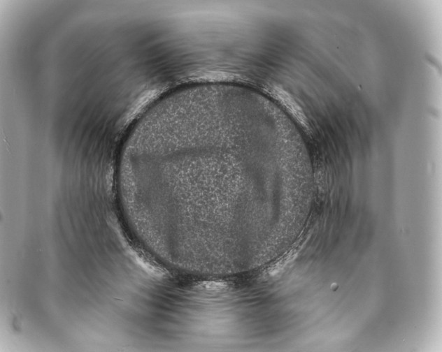 X0000094960159200712201208