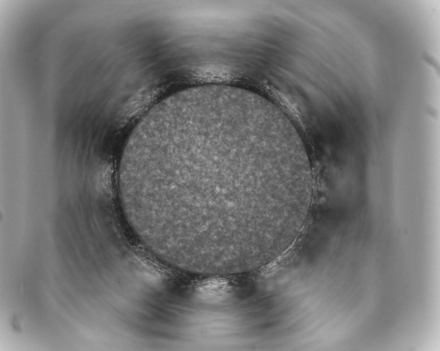 X0000094960162200712201208