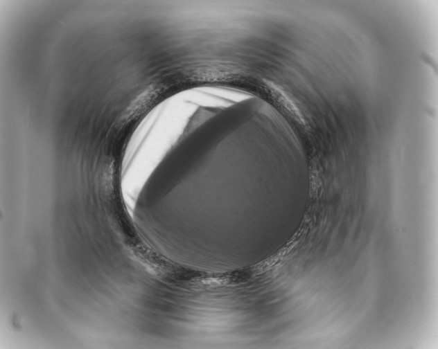 X0000094960163200712201208