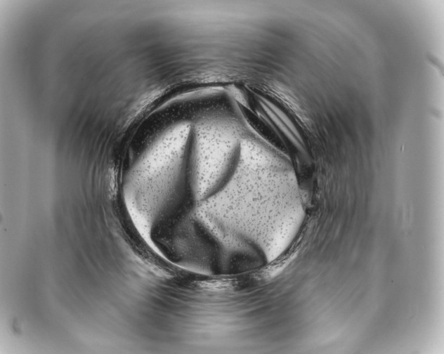 X0000094960164200712201208