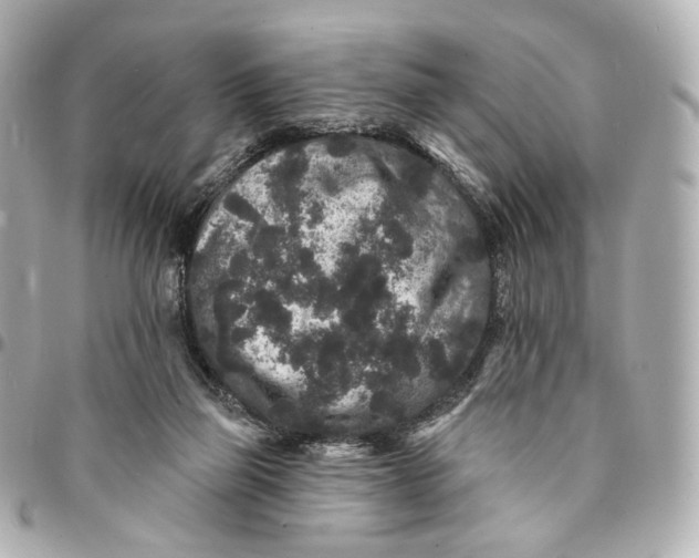 X0000094960165200712201208