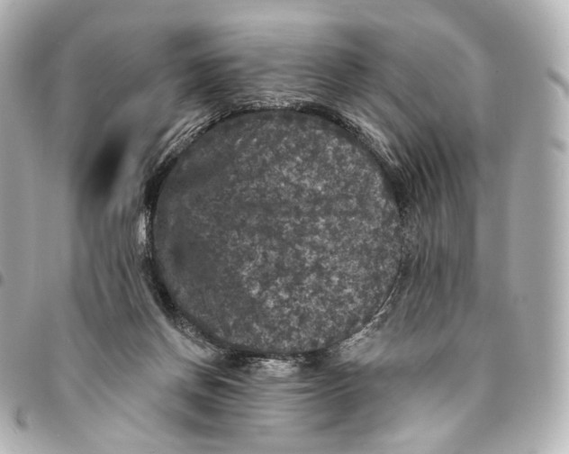 X0000094960166200712201208