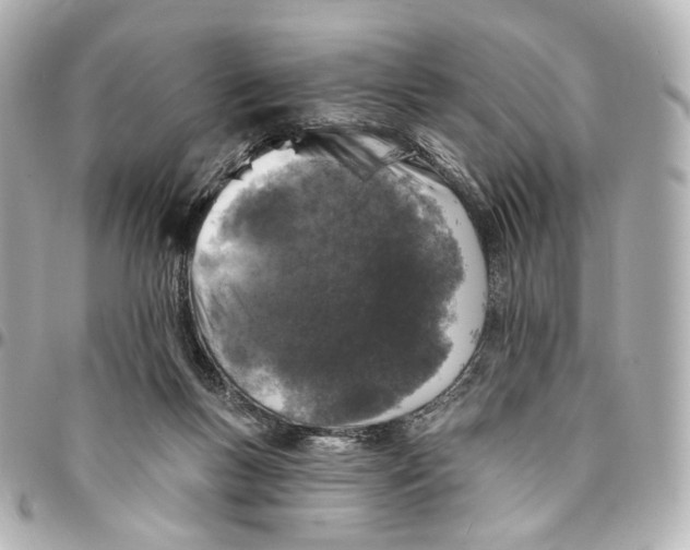 X0000094960167200712201208