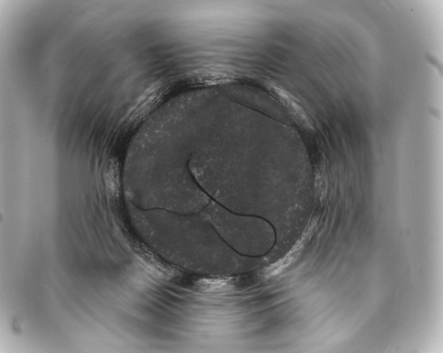 X0000094960170200712201208