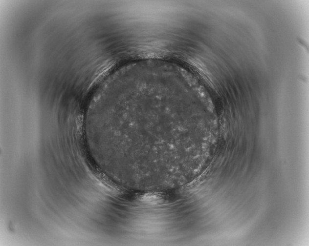 X0000094960171200712201208