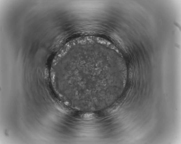 X0000094960173200712201208