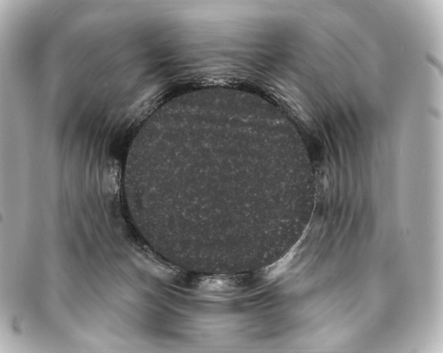 X0000094960174200712201208