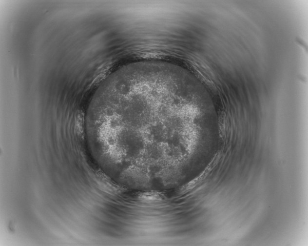 X0000094960175200712201208