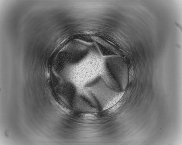 X0000094960176200712201208