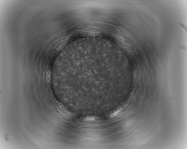 X0000094960177200712201208