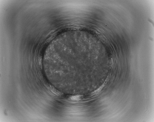 X0000094960178200712201208