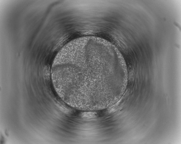 X0000094960179200712201208