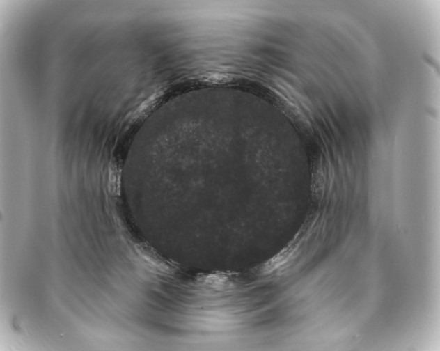 X0000094960180200712201208