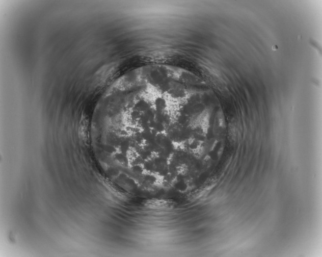 X0000094960181200712201208